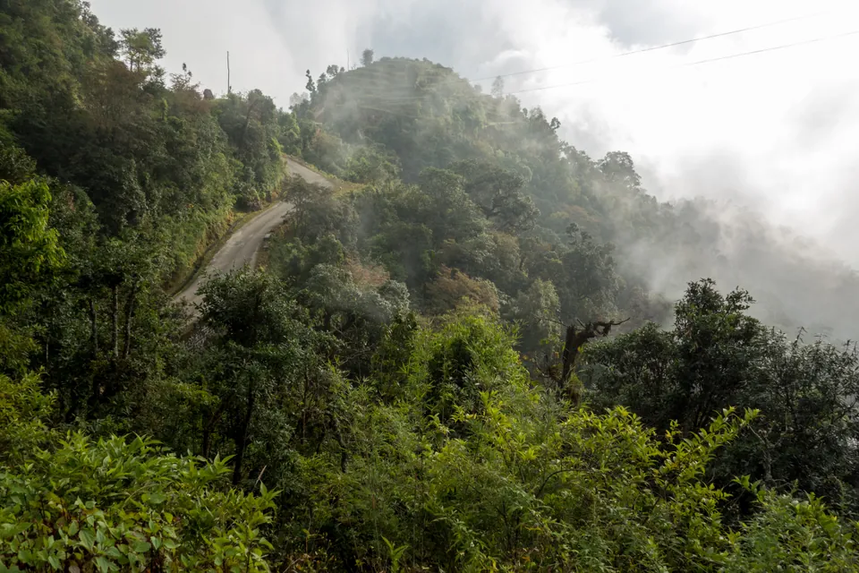 A dirt road curling along a forested ridge with mist rising out of the valley beside it.