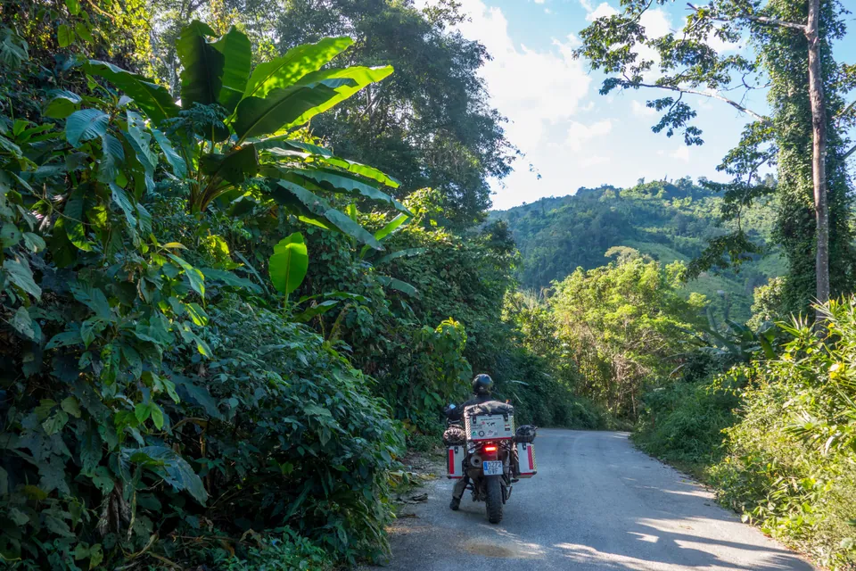 The loaded bike riding away up a narrow road cut through dense jungle, banana leaves overhanging the verge.